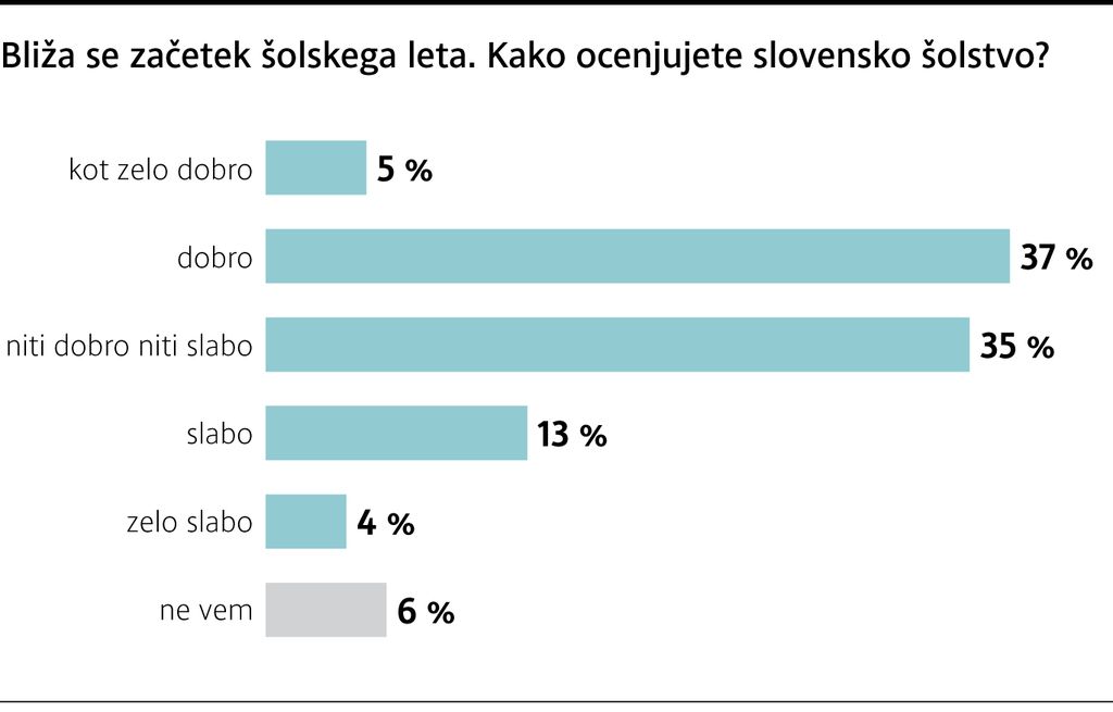 Anketa Dela: Šola daje dovolj znanja